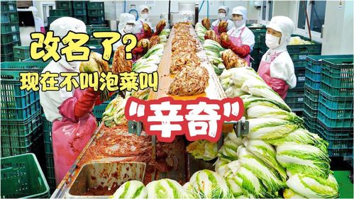 雨軒齋清真食品 堅(jiān)守“辛奇”品質(zhì)，踐行HACCP最高衛(wèi)生標(biāo)準(zhǔn)